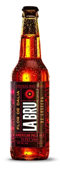 Imagen de la cerveza lager