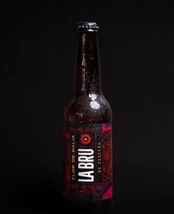 Botella de cerveza